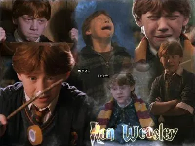 Qu'elle preuve qui protge la pierre philosophale Ron affronte-t-il avec succs ?