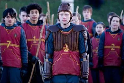 Dans quel tome Ron entre-t-il dans l'quipe de Quidditch ?