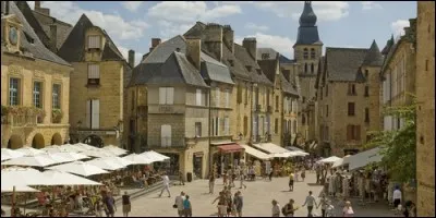 Quelle est la couleur du Périgord de Sarlat, qui n'est pas la couleur verte de Bergerac ?