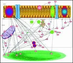 Qu'est-ce qu'un stratagme ?