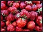 De quel pays d'Amrique du Sud sont originaires les fraises ?