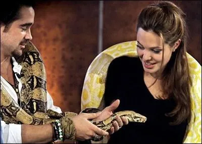 Vivant dans les forts d'Amrique du Sud, il a 4 mtres de long et tue ses proies en les touffant car il n'a pas de venin. C'est... ?