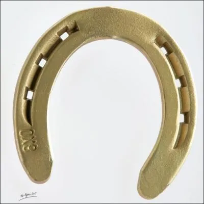 Le fer à cheval porte bonheur (c'est ce qu'on dit). Quand on l'accroche sur une porte ou un mur l'ouverture doit être vers...