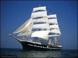 D'après les marins, quel animal ne porte PAS malheur sur un bateau ?