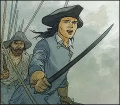 Qui est l'auteur de la BD historique 'l'pervier' ?