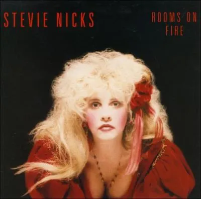 Stevie Nicks :