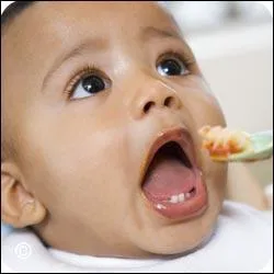 Les dents de bb sont des :