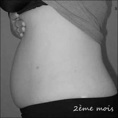 La grossesse dure gnralement :