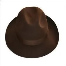 Quelle est la couleur de ce chapeau ?