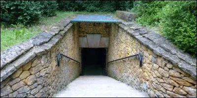 Qu'a-t-on découvert dans les grottes de Lascaux ?