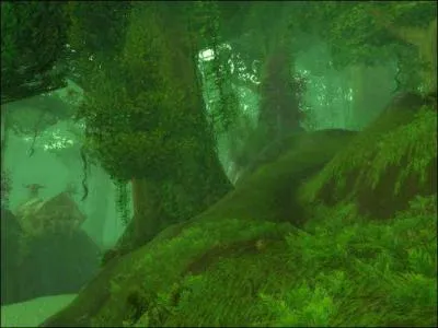 Combien de rgions sont voisines avec celle-ci ?