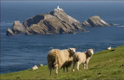 O se trouvent les les Shetland ?
