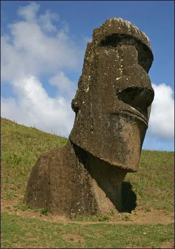 Comment s'appellent les fameuses statues de l'le de Pques ?