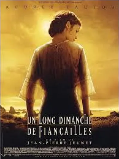 Dans ''Un long dimanche de fiançailles'' , une erreur s'est glissée. Laquelle ?
