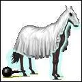 Ce cheval est un fantme grce  :