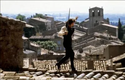 Quel écrivain provençal est l'auteur du roman 'Le hussard sur le toit' ?