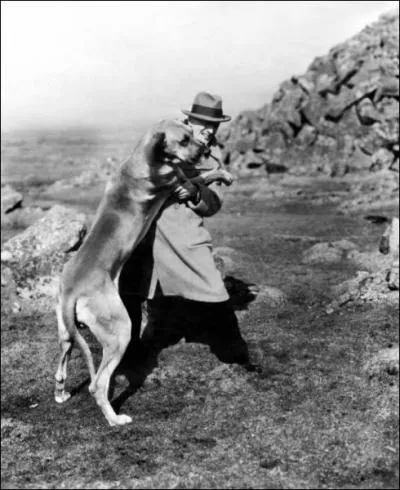 Quel auteur a publié en 1902 le roman 'Le chien des Baskerville' ?