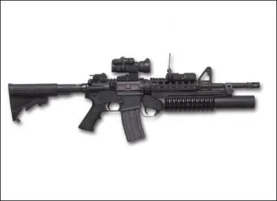 Quel est le nom de cette arme ?