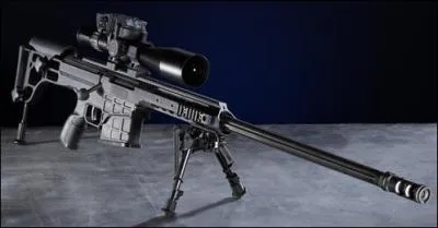 Quel est le nom de cette arme ?