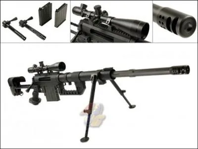 Quel est le nom de cette arme ?