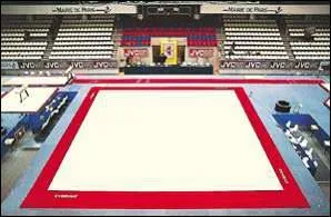 Quelle est sa taille ?