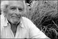 Qui a repris la BD aprs Roba ?