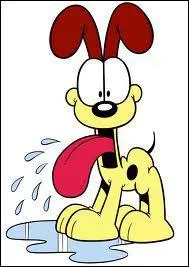 Garfield vit avec un chien dbile nomm...