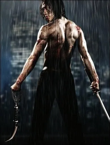 Raizo, jeune ninja, dcide de se venger de son clan aprs le meurtre de sa bien-aime...