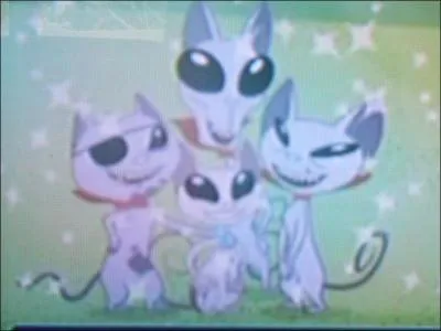 Mr. Kat se trouve  la ... .