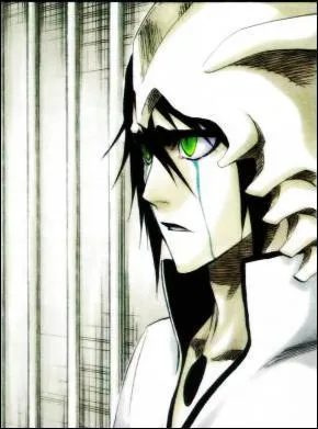 Ulquiorra reprsente :