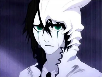 A la fin du combat contre Ichigo , Ulquiorra est :