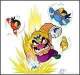 Qui est ce personnage ?