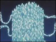 C'est une technique utilise par Toshiro Hitsugaya, qui utilise l'eau dans l'atmosphre pour crer des piliers de glace qui emprisonnent et crasent l'adversaire.