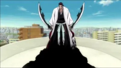 C'est une technique utilise par Shunsui Kyoraku qui permet de jouer avec les ombres . Elle permet de se cacher dans les ombres pour pouvoir attaquer par surprise.