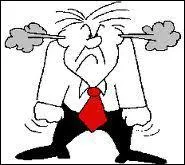 Qu'est qu'une bronca ?