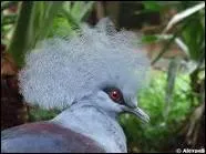 Comment s'appelle cet animal ?