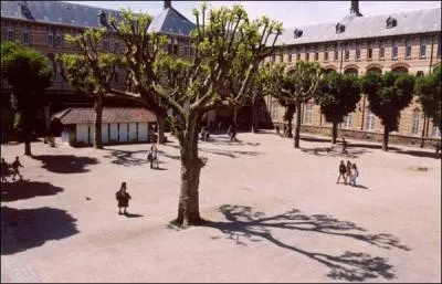 Que reprsente cette image (c'est une image en vue relle) ?