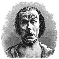 Avec lui disparat une vieille figue de St Martin.