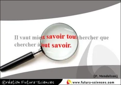 Comment dit-on 'chercher' ?