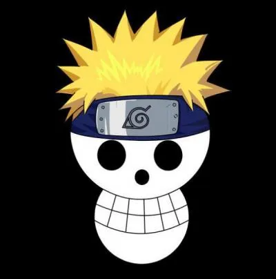 A qui appartient ce drapeau de pirates ?