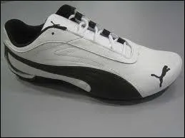 Quelle est la marque de cette chaussure ?