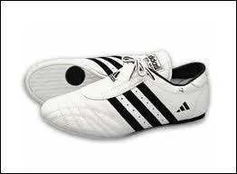 Quelle est la marque de cette chaussure ?