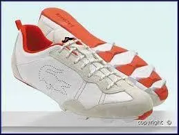 Quelle est la marque de cette chaussure ?