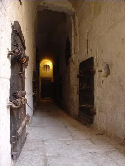 Qu'appelle-t-on les 'plombs de Venise' ?