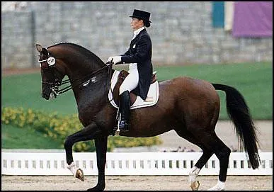 Qu'est-ce que le dressage ?