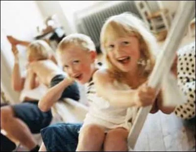 A quel groupe linguistique appartient le sudois ?