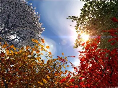 Lesquelles n'en font pas parties ?