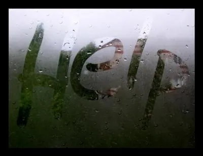 Le pur-sang franais est :