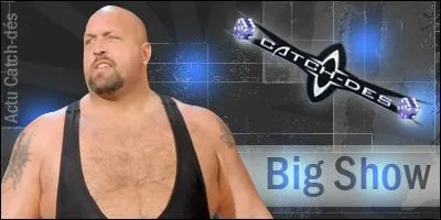 Quel est ce catcheur ?