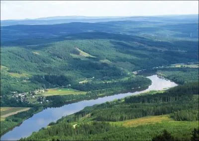 Quels lments rcurrents trouve-t-on dans ses romans ?